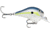 Rapala Dives-To Fat 03 Lure, Helsinki Shad, DTFAT03HSD
