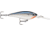 Rapala Harvest Shad 7 Jig, Silver, HVSD07S