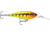 Rapala Harvest Shad 7 Jig, Whiskey Sour, HVSD07WS