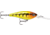Rapala Harvest Shad 7 Jig, Whiskey Sour, HVSD07WS