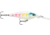 Rapala Harvest Shad 5 Jig, Wonder Tiger, HVSD05WT