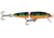Rapala Jointed Minnow, Floating, Perch, 5 1/4in, 5/8oz, J13P