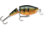 Rapala Jointed Shallow Shad Rap Crankbait, 2ft, 1/4oz, Suspending, Perch, JSSR05P