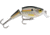 Rapala Jointed Shallow Shad Rap Crankbait, 2ft, 1/4oz, Suspending, Shad, JSSR05SD