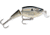 Rapala Jointed Shallow Shad Rap Crankbait, 2ft, 1/4oz, Suspending, Silver Shad, JSSR05SSD