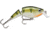 Rapala Jointed Shallow Shad Rap Crankbait, 2ft, 1/4oz, Suspending, Yellow Perch, JSSR05YP