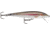 Rapala Original Floater 09 Lure, Live Rainbow Trout, F09RTL