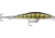 Rapala RipStop 9 Floating-Diving, 3-1/2in, 1/4oz, 3-4Feet, 6 - 7 Trebles, Live Perch, RPS09PEL