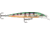 Rapala Scatter Rap Deep Husky Jerk 10, Glass Perch, 4in, 3/8oz., SCRDHJ10GP