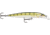 Rapala Scatter Rap Deep Husky Jerk 10, Yellow Perch, 4in, 3/8oz., SCRDHJ10YP