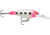 Rapala Shad Rap 05 Lure, Glow Pink Squirrel, SR05GPSQ