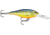 Rapala Shad Rap 05 Lure, Hot Steel, SR05HS