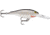Rapala Shad Rap Crankbait, 2in, 3/16 oz, Floating, Silver, SR05S