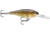 Rapala Shad Rap Crankbait, 2in, 3/16 oz, Floating, Walleye, SR05W