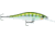 Rapala Shadow Rap Lure, Yellow Perch, 3-1/8in, 3/8oz, SDRSD09YP