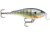 Rapala Shallow Shad Rap 05 Lure, Blue Gill, SSR05BG