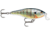 Rapala Shallow Shad Rap Crankbait, 3 1/2in, 3/8 oz, Floating, Bluegill, SSR09BG