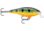 Rapala Shallow Shad Rap Crankbait, 3 1/2in, 3/8 oz, Floating, Perch, SSR09P