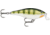 Rapala Shallow Shad Rap Crankbait, 3 1/2in, 3/8 oz, Floating, Yellow Perch, SSR09YP