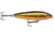 Rapala Skitter Walk Topwater Lure, Floating, Gold Mullet, 7/16oz, 3 1/8in, SW08GMU