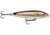 Rapala Skitter Walk Topwater Lure, Floating, Redfish, 7/16oz, 3 1/8in, SW08RF