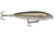 Rapala Skitter Walk Topwater Lure, Floating, Speckled Trout, 7/16oz, 3 1/8in, SW08ST