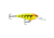 Rapala The Shad Rap