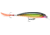 Rapala X-Rap Jerkbait, Suspending, Gold, 4 3/4in, 3/4oz, XR12G