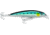 Rapala X-Rap Saltwater 8 Slashbait, 3 1/8", 1/4 oz, Blue Sardine, Suspending, SXR08BSRD