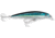 Rapala X-Rap Saltwater 14 Slashbait, 5 1/2", 1 1/2 oz, Silver Blue Mackerel, Suspending, SXR14SBM