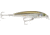 Rapala X-Rap Saltwater 8 Slashbait, Suspending, 1/4 oz 3-1/8&quot;, 3-5 Ft, #6 Hooks, Mangrove Minnow, SXR08MM