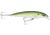 Rapala X-Rap Saltwater 8 Slashbait, Suspending, 1/4 oz 3-1/8&quot;, 3-5 Ft, #6 Hooks, Pilchard, SXR08PLD