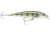 Rapala X-Rap Saltwater 8 Slashbait, Suspending, 1/4 oz 3-1/8&quot;, 3-5 Ft, #6 Hooks, Pinfish, SXR08PF