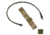 Raptor Tactical Athena - Antenna Relocation Kit, Ranger Green, Large, RT-ATHENAKIT-RG-L