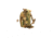 Raptor Tactical Individual First Aid Kit IFAK, Multicam, RT-IFAK-MC