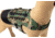 Raptor Tactical K9 Zephyr MK1 Dog Harness, Woodland, One Size, K9ZDH1-M81