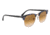 Ray-Ban Clubmaster Sunglasses RB3016 125651-49 - Spotted Brown/Blue Frame, Clear Gradient Brown Lenses