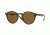 Ray-Ban RB2180 Sunglasses 710/73-49 - Dark Havana Frame, Dark Brown Lenses