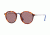 Ray-Ban RB2447 Single Vision Prescription Sunglasses, 49mm, Red Havana, RB2447-1245W0-49-SV