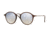 Ray-Ban RB2447N Sunglasses 62569U-49 - Shiny Trasparent Brown Frame, Grey Flash Gradient Lenses
