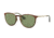 Ray-Ban RB3539 Sunglasses 9135/2-54 - Havana Frame, Green Lenses