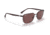 Ray-Ban RB3684CH Sunglasses, Polarized dark violet Lenses, Brown, 58, RB3684CH-014-AF-58