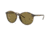 Ray-Ban RB4371 Sunglasses 710/73-55 - Havana Frame, Dark Brown Lenses
