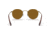 Ray-Ban Round Metal Sunglasses - Men's, Antique Gold Frame, Brown 53 mm Lenses, RB3447-922833-53