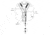 Raymarine Quantum Radar Adapter Cable, New Condition RAY-A80308