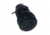 Raymarine Transducer Depth 38320