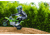 Razor SX350 Dirt Rocket McGrath Electric Bike, Green, 15128080