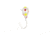 RBM Jigs Tungsten Jig