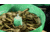 RCBS Vibratory Case Polisher QD 120V, Green, 87062