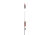 Ready 2 Fish Red Sal Spin Combo W/Kit 029837